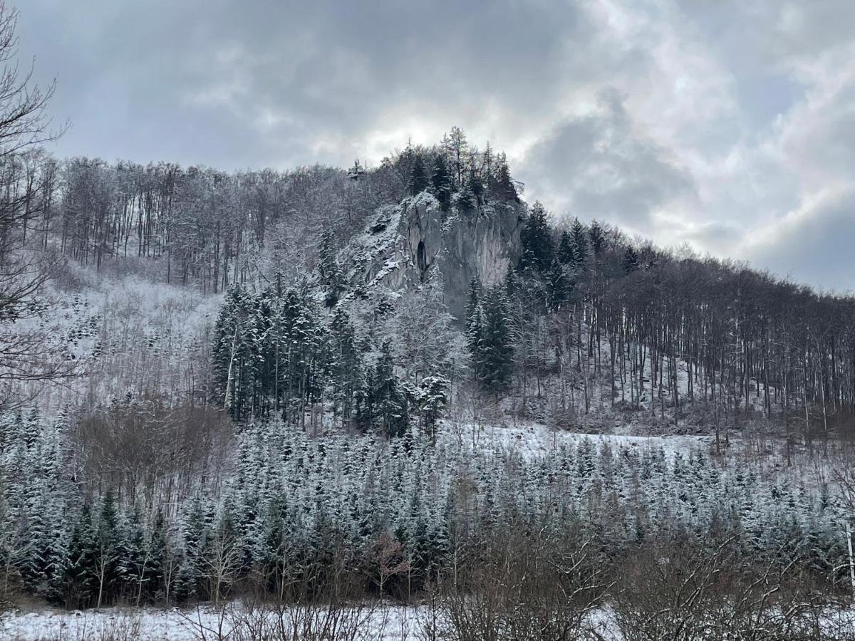 Appartamento Zwergdackeladlerhirsch Beuron Esterno foto