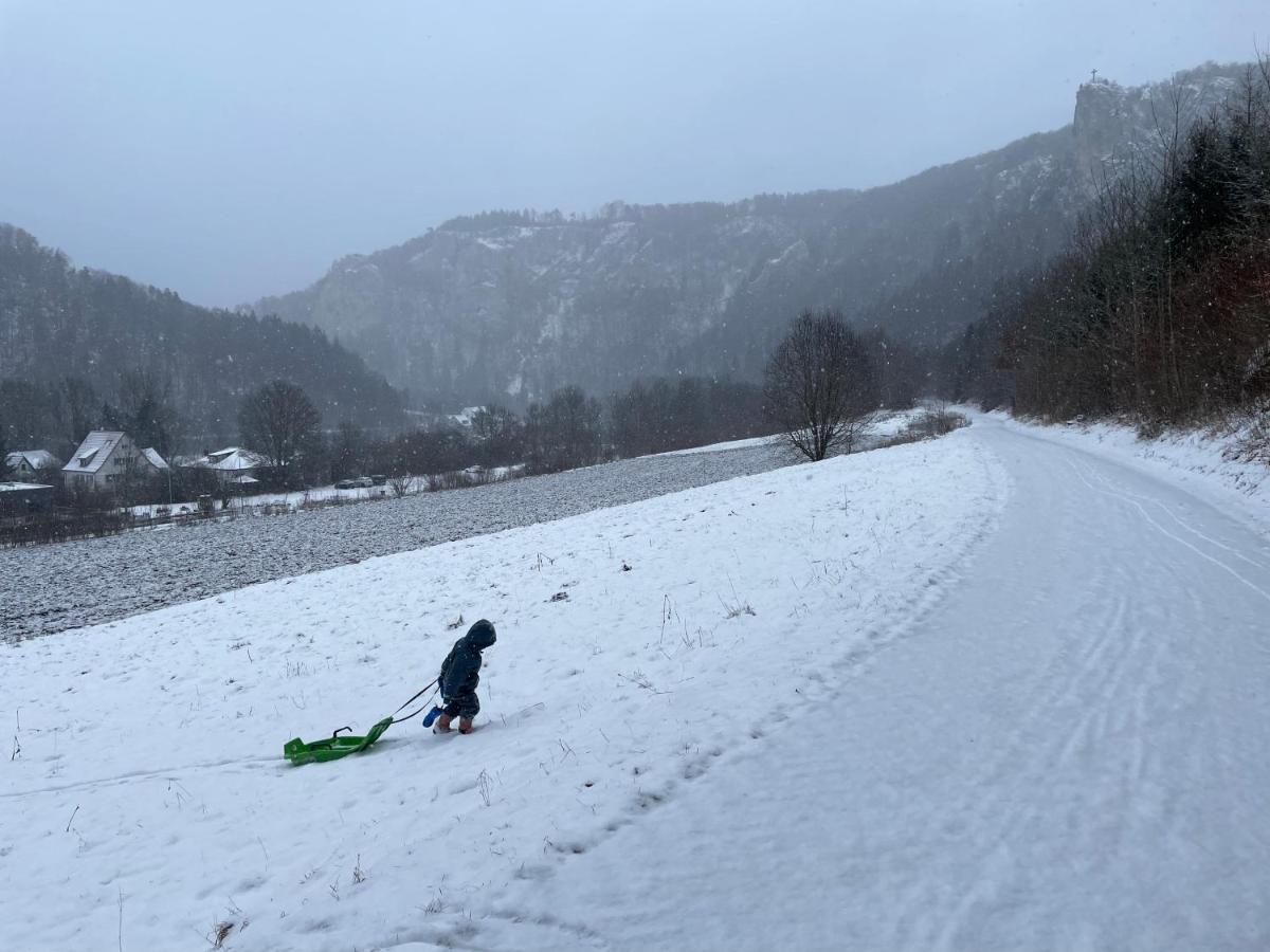 Appartamento Zwergdackeladlerhirsch Beuron Esterno foto