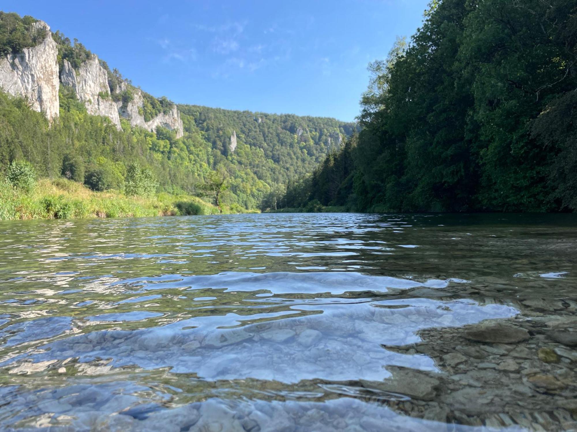 Appartamento Zwergdackeladlerhirsch Beuron Esterno foto